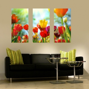 Wandbild Tulpenmeer